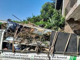 Best Scrap Metal Removal in Ripley, TN